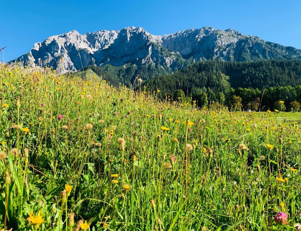 Apartment Bergkristallhaus Ramsau am Dachstein